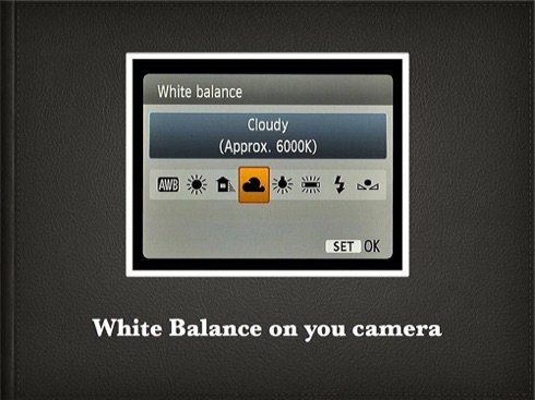 How to White Balance.002.jpg How to White Balance.002.jpg